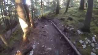 Pinocchio&#39;s Furniture