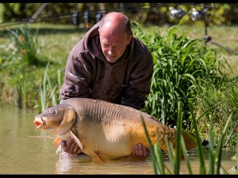 Venue videos photo 1