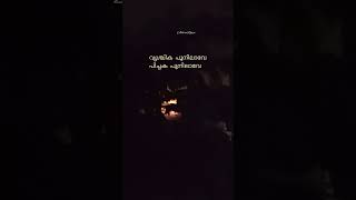 Download lagu Vrichika Poonilave l P Bhaskaran | V Dakshinamoorthy | KJ Yesudas | #beautifulnight mp3