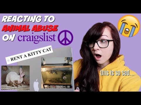 Pets Craigslist