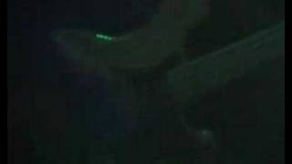 The Fall - Before The Moon Falls