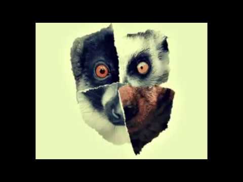 Lemur - Die Rache der Tiere - Albumsnippet