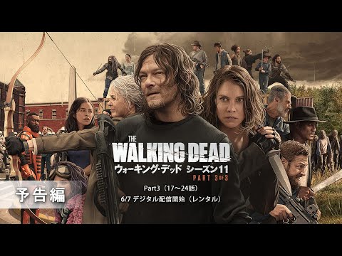 「ウォーキング・デッド」最終シーズンの開始日が発表