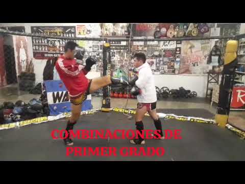 GERI WAZA COMBINACIONES DE PRIMER GRADO 
