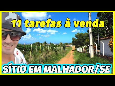 OPORTUNIDADE SÍTIO COM 11 TAREFAS DE TERRA A VENDA EM MALHADOR SERGIPE COM MUITAS FRUTEIRAS 