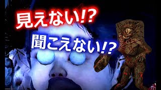 【DBD】見えない!?聞こえない!?そんなハグはいかがですか??＃11