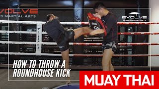 How To Throw A Roundhouse Kick