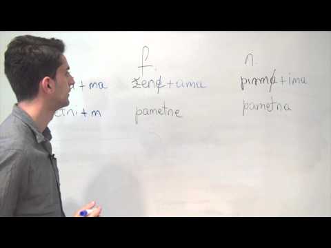 Bosnian/Croatian/Serbian Grammar: The Instrumental Plural of Adjectives