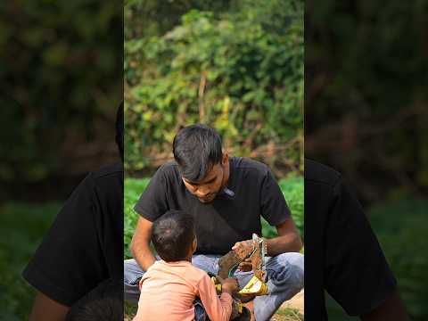 Chhotu Ke Liye Bana Diya Remote Control Jcb || Rc Tractor #shorts #diy #toys