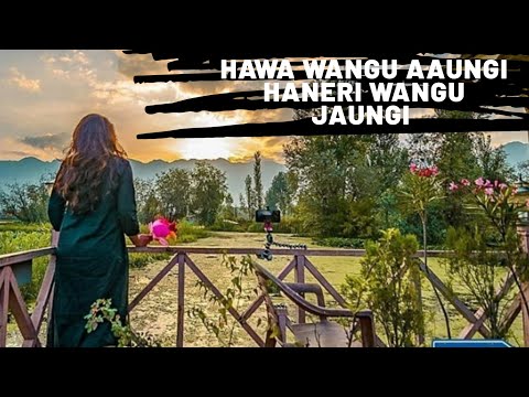 Hawa wangu aaungi Haneri wangu Jaungi | Surjit sandhu| Recreated Full video