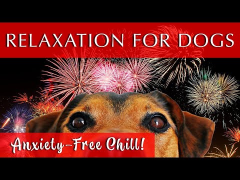 Relaxing Music for Dogs to Calm Down | GREAT FOR FIREWORKS!