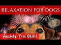 Relaxing Music For Dogs To Calm Down GREAT FOR FIREWORKS