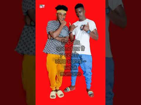 kopala spenderz ft y celeb , soja signal - weak mumano