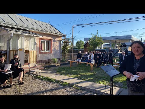 Nicolai Berariu - Priveghi prima seară