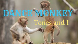 Download lagu tones and i - Dance monkey mp3 mp3
