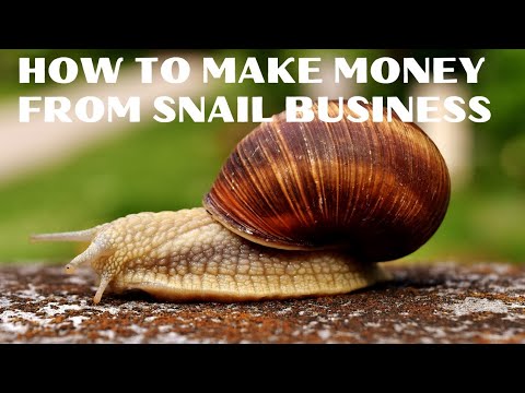 , title : 'Start snail farming business with no capital|| SNAIL FARMING BUSINESS #snailfarming'