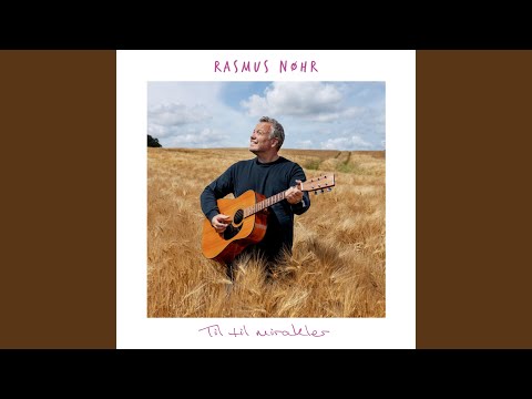 Svaler og lommelærker (Maria kirkeplads er tom)