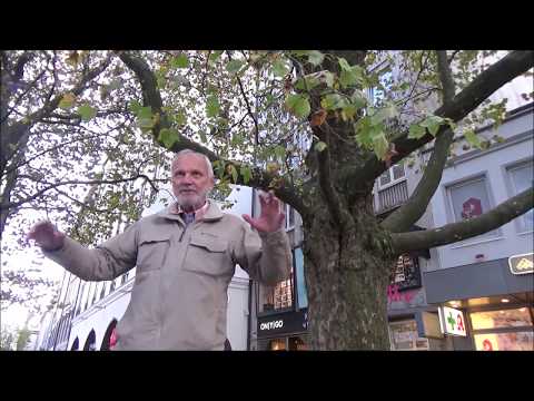 27  Okt  2017  Der Mensch besteht aus Geist, Seele und Leib  Wir müssen auch den Geist trainieren