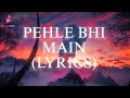 Pehle bhi main (Lyrics) - Vishal Mishra | Animal | Ranveer kapoor, Rashmika, Anil K | Real Song