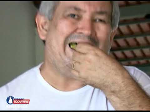 📺Últimas notícias do Tocantins, Brasil e Mundo📺