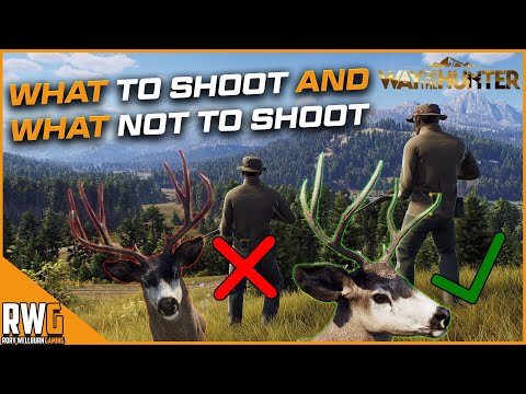 Way Of The Hunter: What to shoot and what not to shoot to get good genetics on your animals