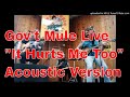 Gov't Mule 🐎 - "It Hurts Me Too" 💔 - Live - Acoustic Version - Elmore James