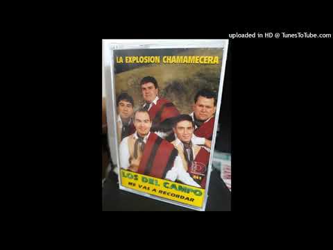 CHAMAME. - Los del Campo. - Que Cambiada esta mi guaina