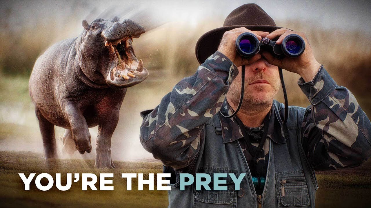 The Deadliest Animals In The World To Hunt