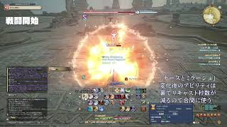 FF14・竜騎士・Lv70シンク木人撃破