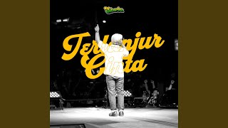 Download lagu Terlanjur Cinta mp3
