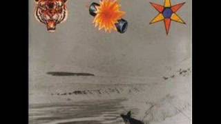 The Beta Band - Dry The Rain