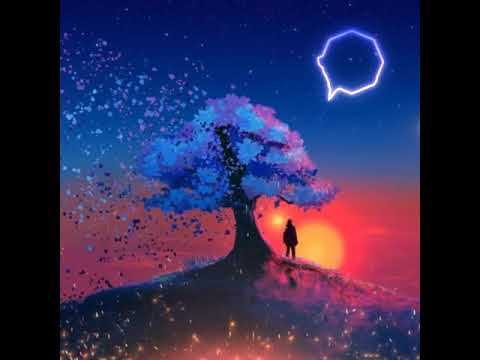 Xei Din - DYOU x AARXSLAN | Koushik | unofficial lyrical video | URBedition ♥️