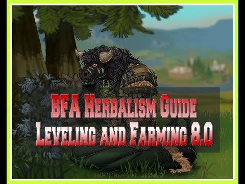 Herbalism BFA Guide - Make One Million Gold in one week