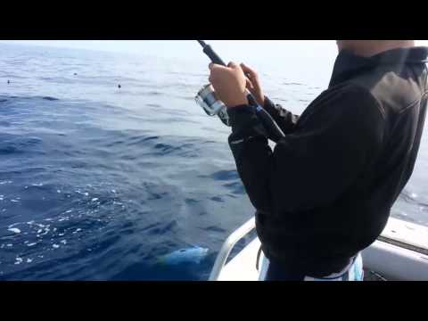 Trazo's Transam Soft Plastic Fishing Lure Vibe Blade