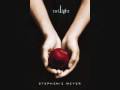 Paramore Twilight- i caught myself Lyrics 
