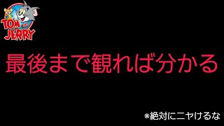 視聴者への挑戦状です…ニヤけたら君の負け【トムとジェリーチェイスチェイス】
