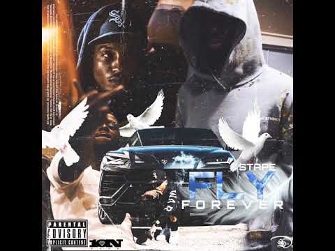 Stape  - Fly Forever:  Intentions