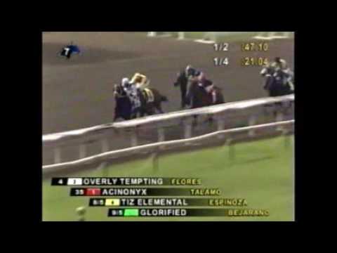 2008 Las Flores Handicap Santa Anita - Tiz Elemental
