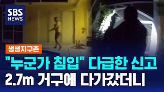 누군가 침입 다급한 신고..2.7m 거구에 다가갔더니 / SBS / 생생지구촌