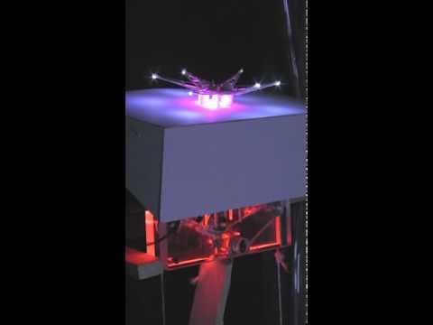 MudCrack - Main Structure - Normal Model - Fast