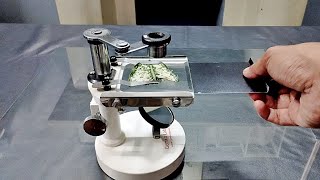 How to use a Simple Dissecting Microscope
