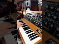 Rick Wakeman - Catherine Of Aragon on a Moog Minimoog #rickwakeman #moog #shorts