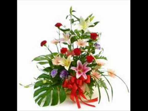 IDREESIA BASHAR K ROOP MEIN JAB NOOR KA ZAHOOR HOA