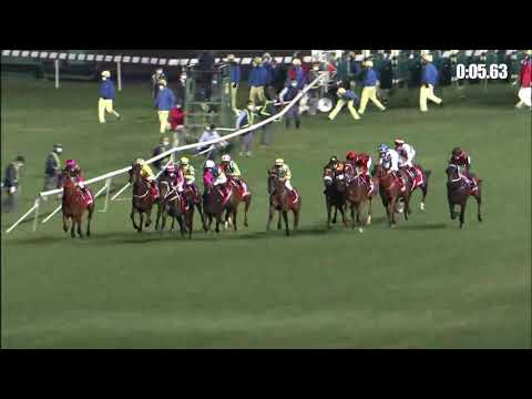 天   駟   21/01/06……(325)第九塲三班1800米