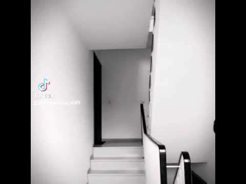 Löwenherz- Innerliche Frieden #Onlylove #Nohate #LovefortheWorld Mensch ist Mensch