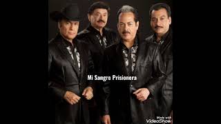 Mi Sangre Prisionera (Los Tigres Del Norte)