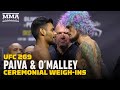 Dana White Moves Sean O'Malley's Fist in Raulian Paiva Staredown | UFC 269 | MMA Fighting