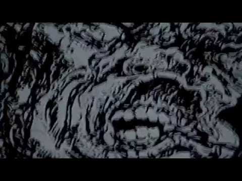 Whelm Live @ East 7th Punx LA July 20 2016 Part 1