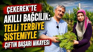 Çekerek'te Akıllı Bağcılık: Telli Terbiye Sistemiyle Çiftin Başarı Hik