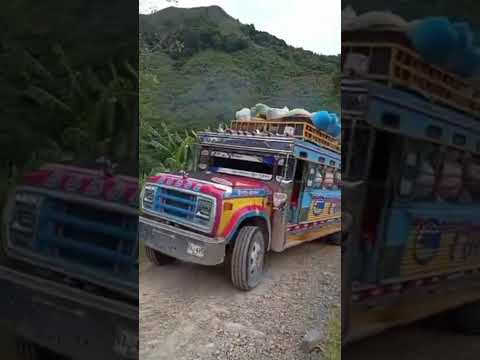 Desde Palermo Huila vemos esta chiva llena de café mojado #campo #café